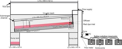 Relating the Flow Processes and Bedforms of Steady-State and Waning Density Currents